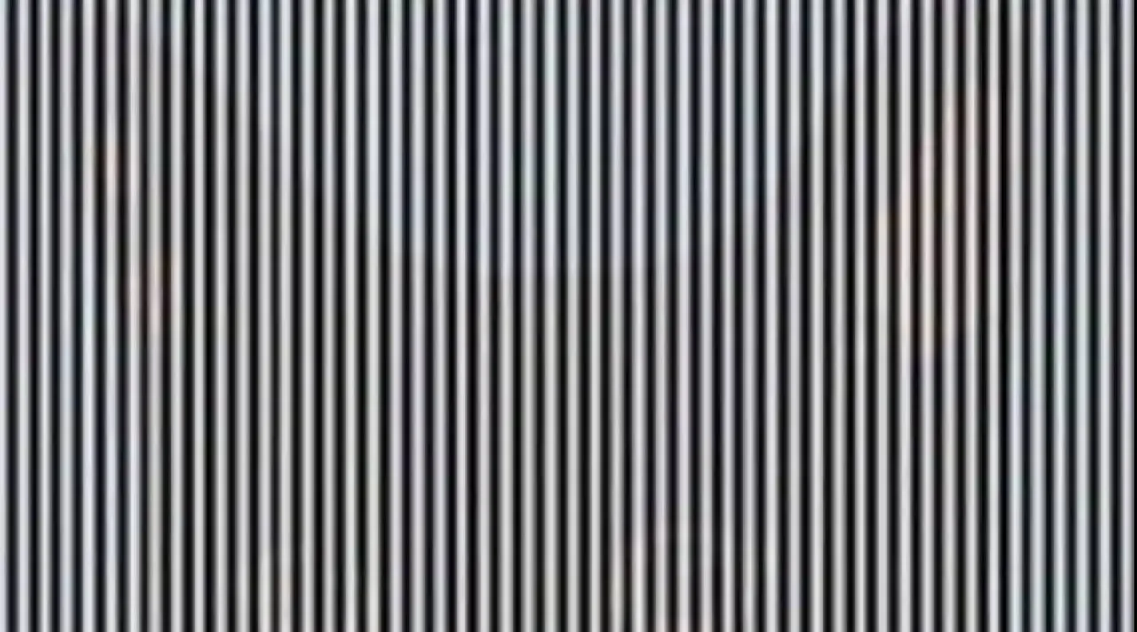 Optical Illusion, Optical Illusion Pictures, Optical Illusion Viral Picture, Optical Illusion Animal Picture, ஆப்டிகல் இல்யூஷன், ஆப்டிகல் இல்யூஷன் படம், விலங்கை கண்டுபிடிங்க, Optical Illusion Viral Photos, Optical Illusion Latest, about optical illusion,Optical Illusion photos, Optical Illusion pictures, Optical Illusion images