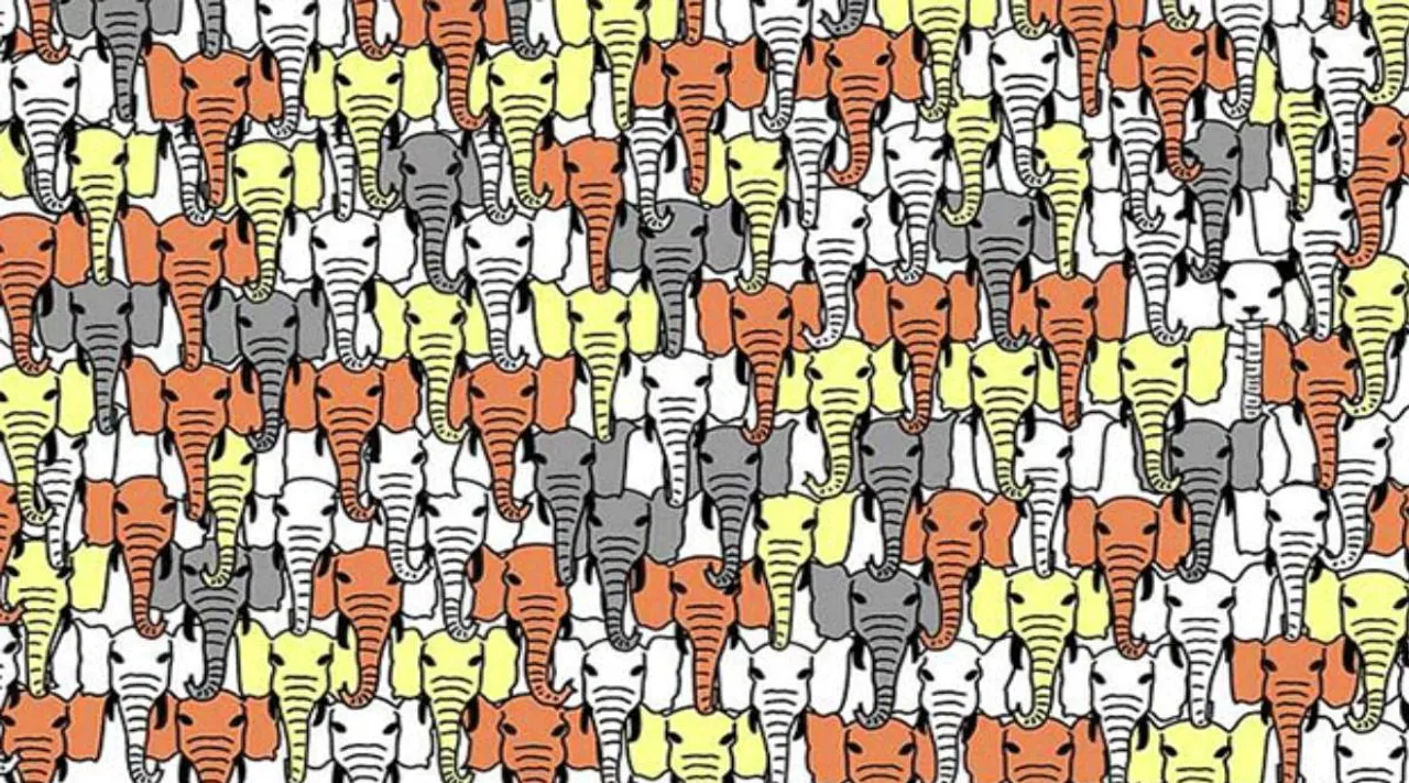 Optical Illusion, Optical Illusion Pictures, Optical Illusion Viral Picture, Optical Illusion Animal Picture, ஆப்டிகல் இல்யூஷன், ஆப்டிகல் இல்யூஷன் படம், Optical Illusion Viral Photos, Optical Illusion Latest, about optical illusion,Optical Illusion photos, Optical Illusion pictures, Optical Illusion images