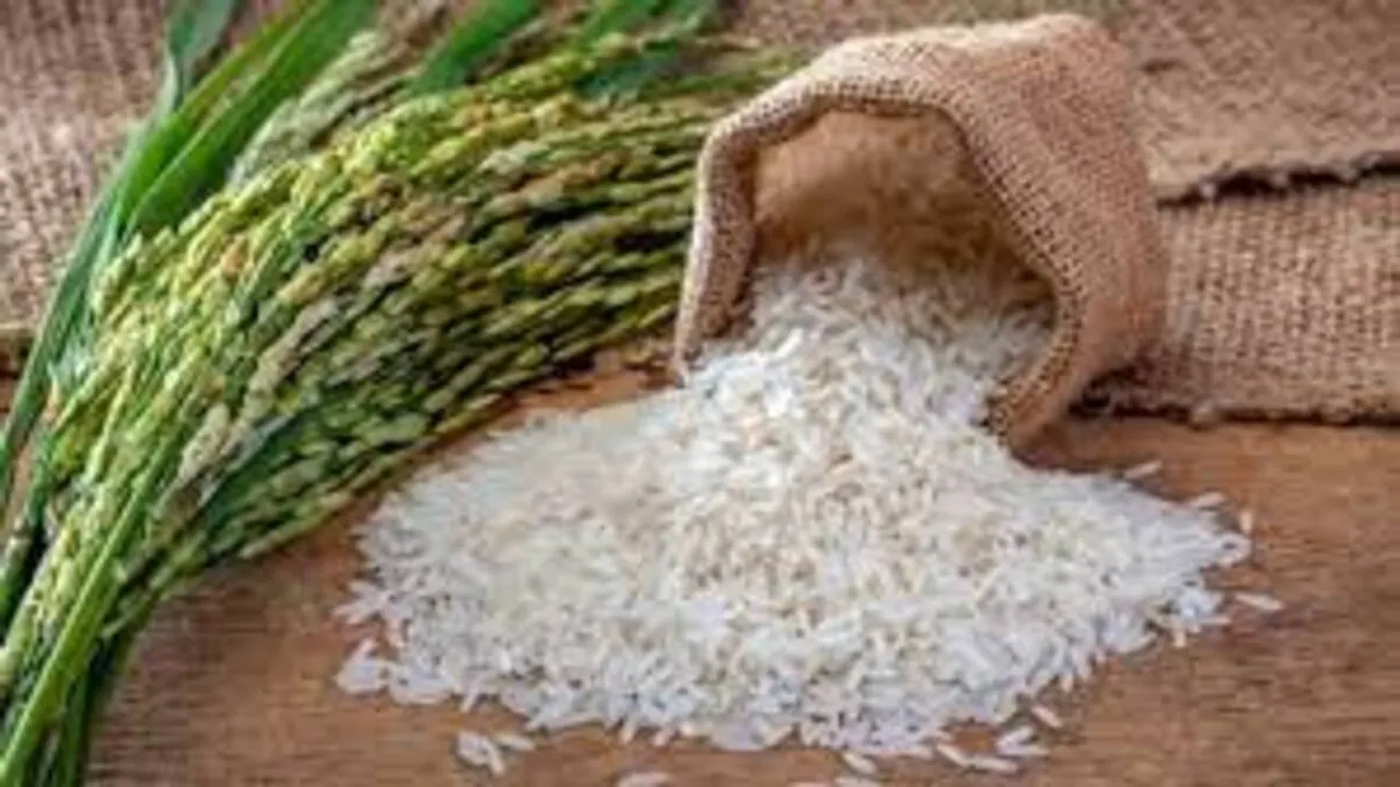 5 சதவீதம் ஜிஎஸ்டி விதிப்பு: அரிசி விலை இன்று முதல் உயர்வு!