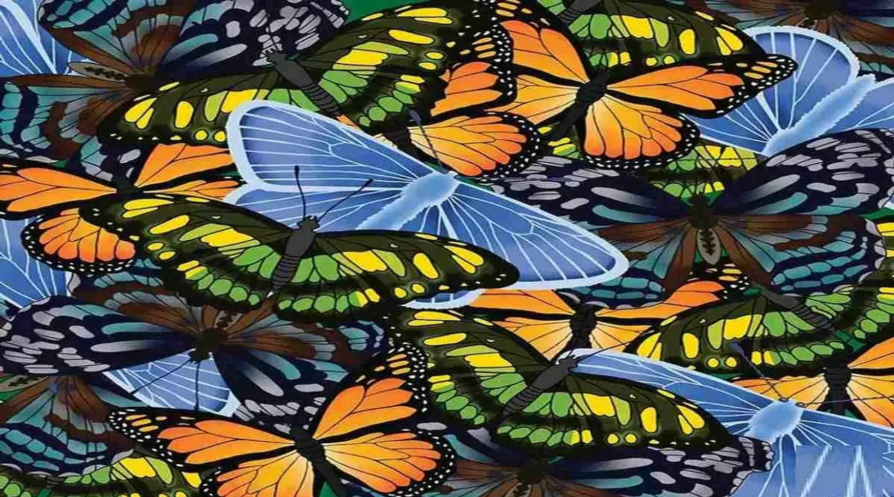 Optical Illusion, Optical Illusion Pictures, Optical Illusion Viral Picture, Optical Illusion Animal Picture, spot the caterpillar, ஆப்டிகல் இல்யூஷன், கம்பளிப்பூச்சியைக் கண்டுபிடியுங்கள், Optical Illusion Viral Photos, Optical Illusion Latest, about optical illusion,Optical Illusion photos, Optical Illusion pictures, Optical Illusion images