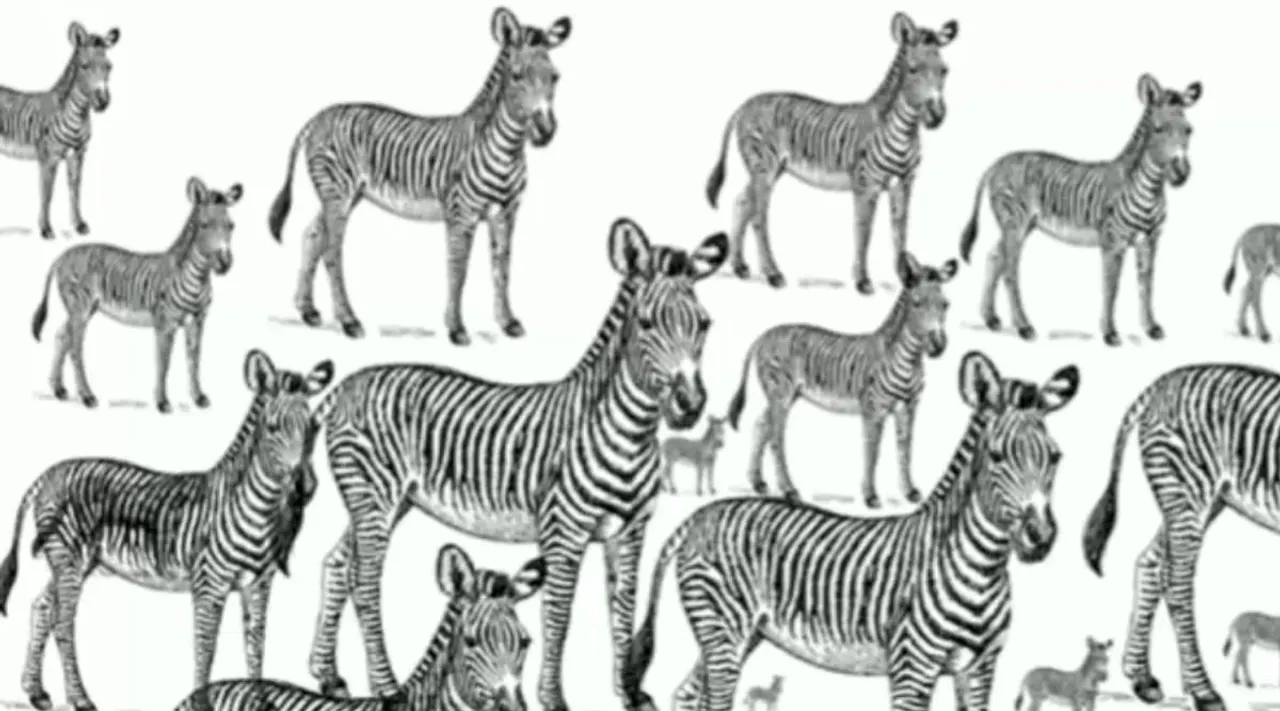Optical Illusion, Optical Illusion Pictures, Optical Illusion Viral Picture, Optical Illusion Animal Picture, Optical Illusion Viral Photos, Optical Illusion Latest, about optical illusion,Optical Illusion photos, Optical Illusion pictures, Optical Illusion images