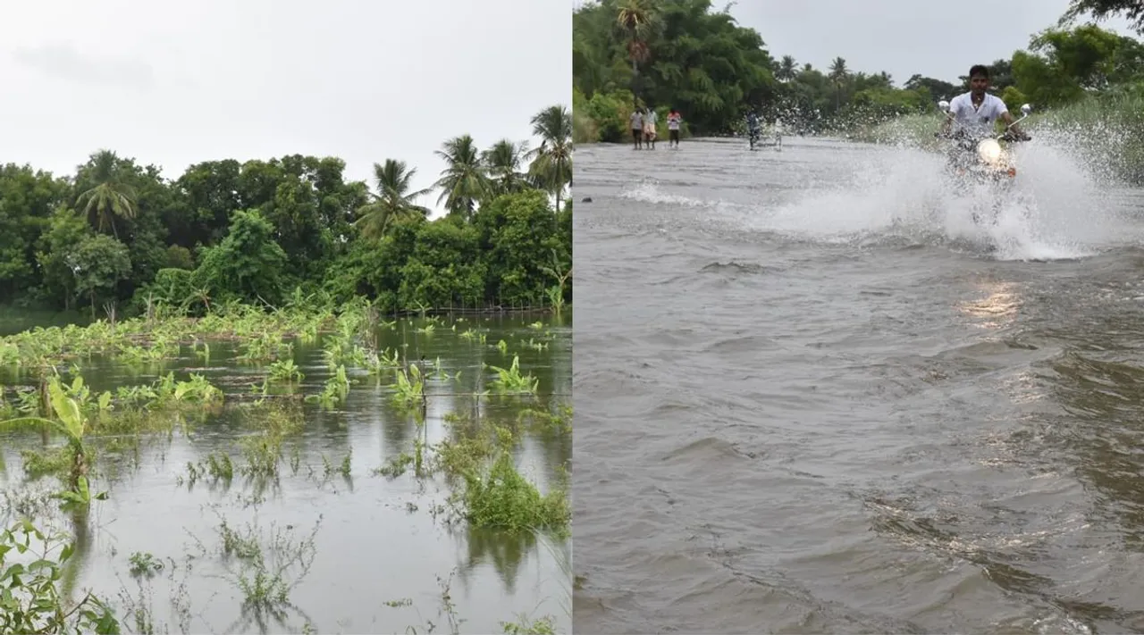 Cauvery floods, Trichy - Kallanai Road bloked, திருச்சி- கல்லணை சாலையில் வெள்ளம், 1000 ஏக்கர் நெல், வாழை சேதம், காவிரியில் வெள்ளம், Cauvery floods in Trichy - Kallanai Road, Thousands Acres Paddy crop damaged, Thousands Acres Banana trees damaged