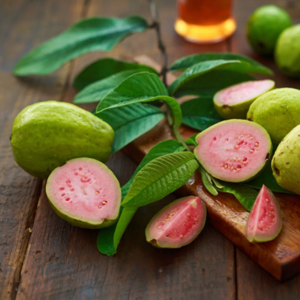 The doctor explained that guava leaves can control diabetes