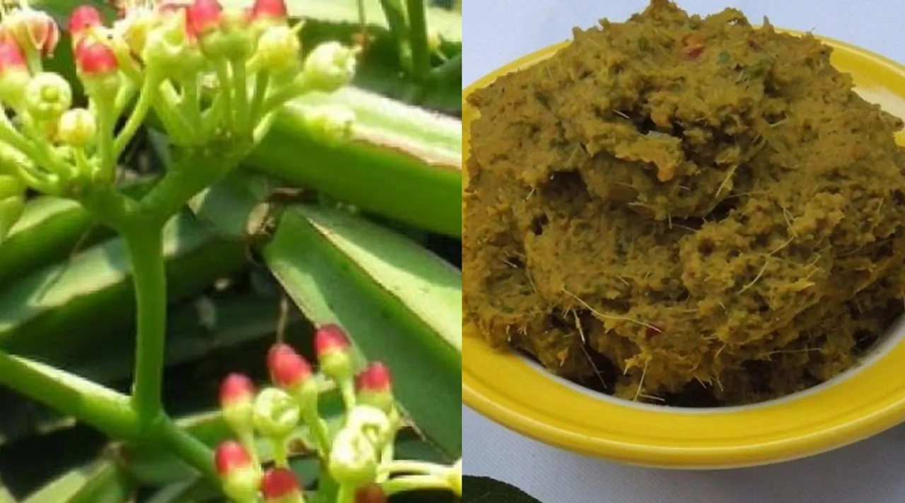 How to make pirandai thuvaiyal in tamil