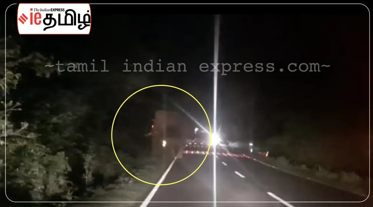 Video: wild elephant jolly raid for 1/2 hour on the Mettupalayam - Kothagiri road