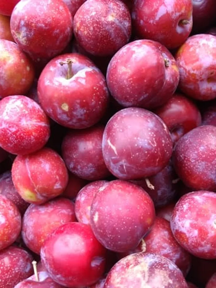 plums 5 - unsplash (1)