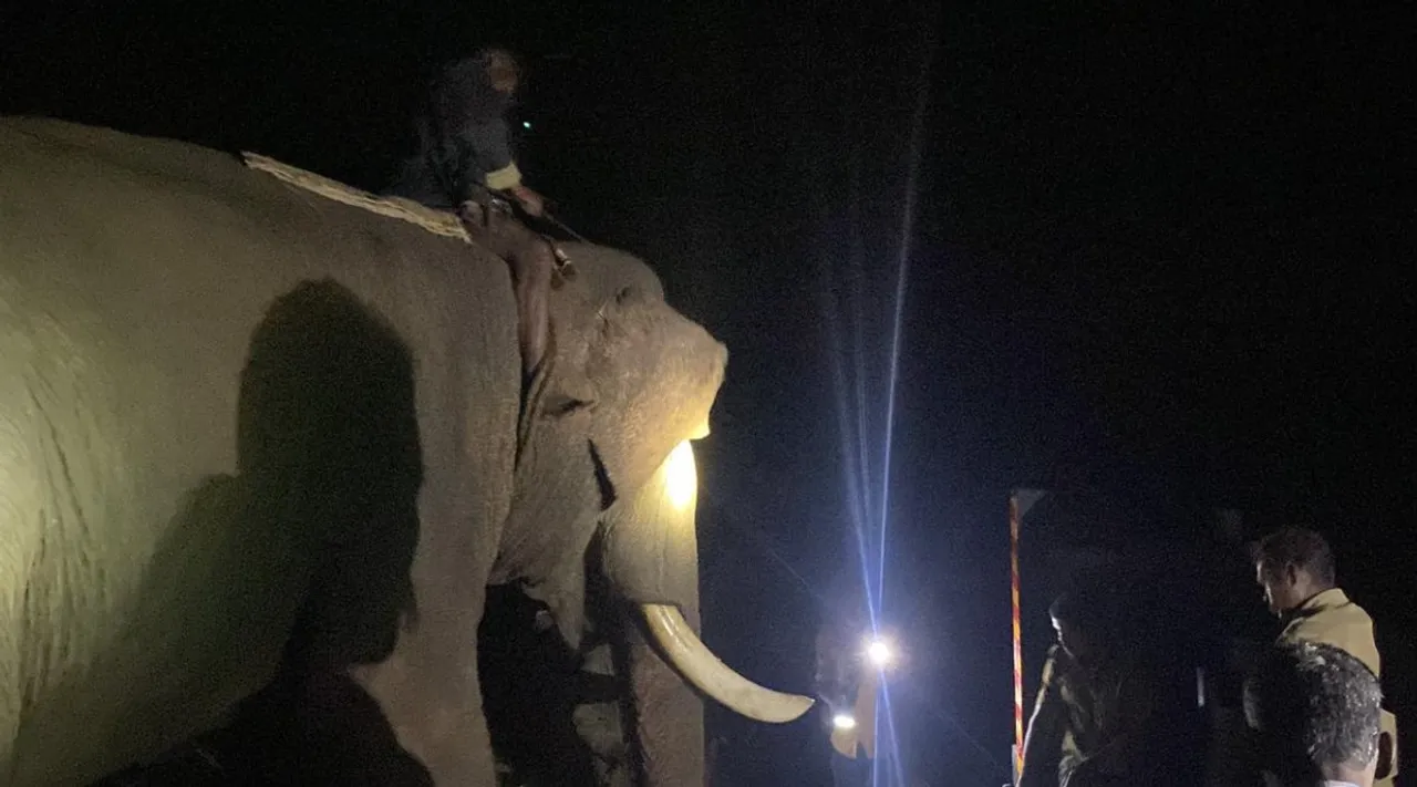 Coimbatore: wild elephant stuck middle of the river, forest dept search with kumki and drone