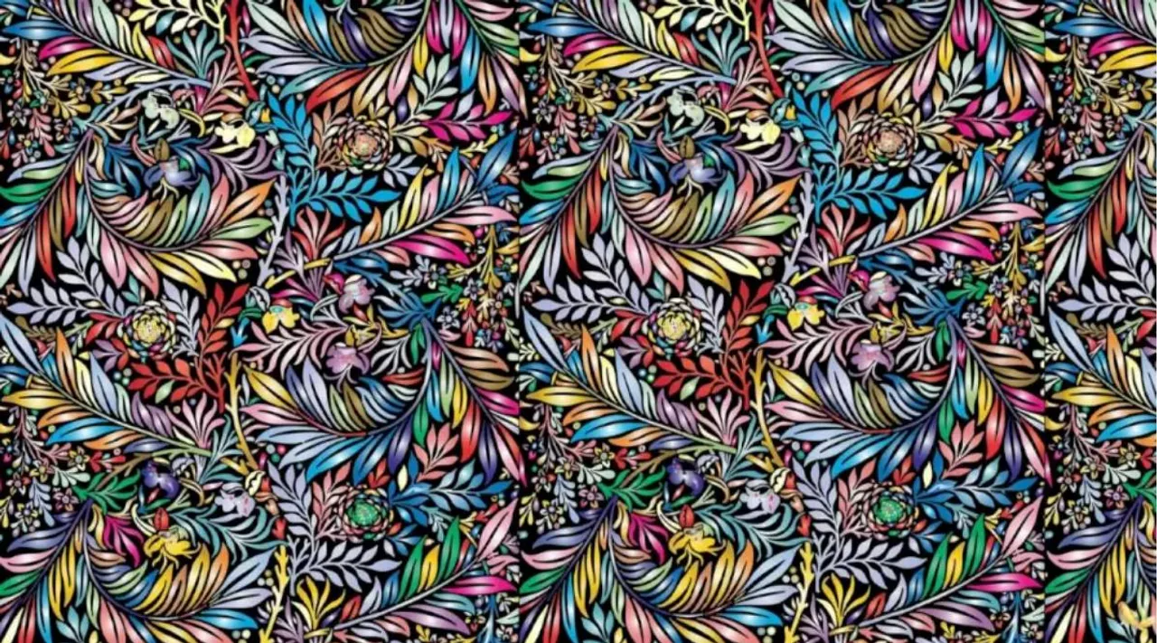 Optical Illusion, Optical Illusion Pictures, Optical Illusion Viral Picture, Optical Illusion Animal Picture, Optical Illusion Viral Photos, ஆப்டிகல் இல்யூஷன், ஆப்டிகல் இல்யூஷன் படம், தங்கமீன் கண்டுபிடிங்க, ஆப்டிகல் இல்யூஷன் சவால், தங்க மீன் spot the Gold fish, Optical Illusion Latest, about optical illusion,Optical Illusion photos, Optical Illusion pictures, Optical Illusion images