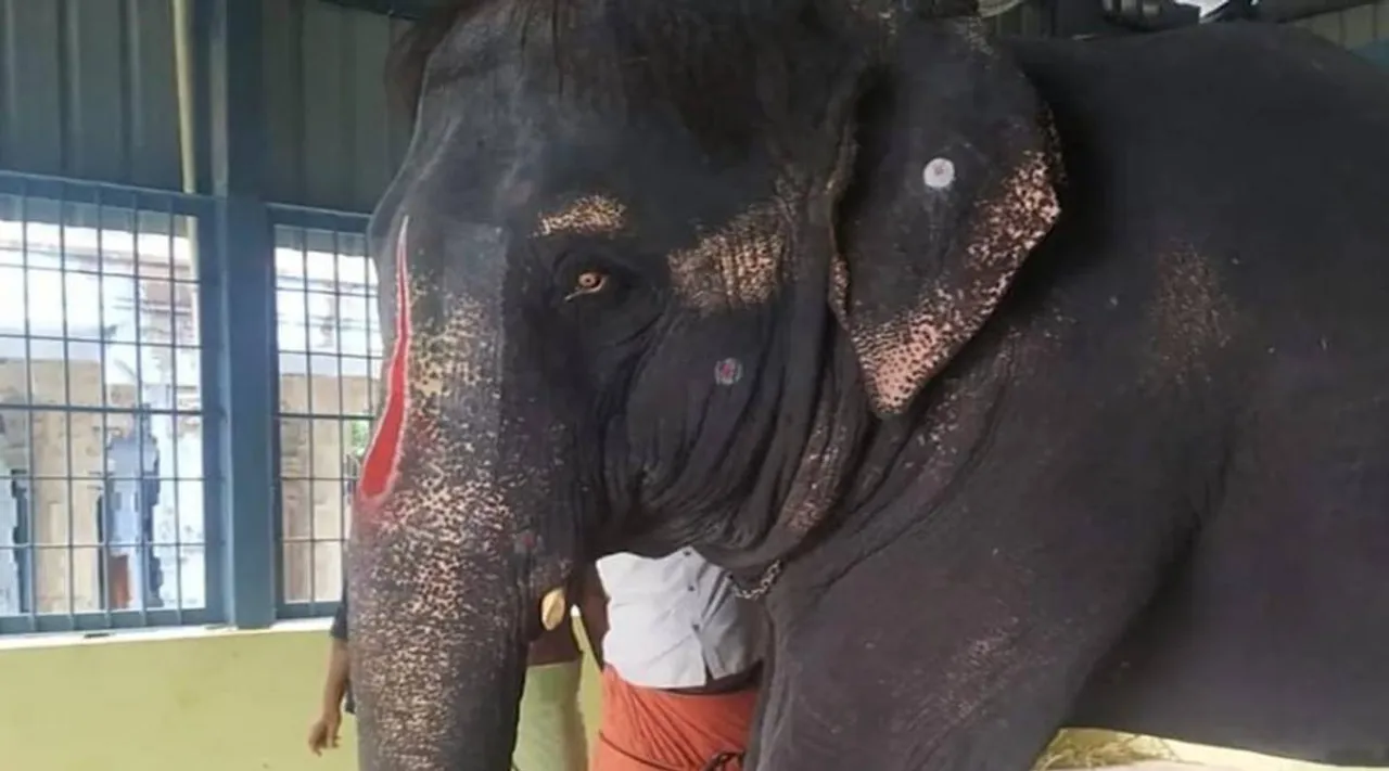 ஜோய்மாலா உடல்நிலையை ஆய்வு செய்ய அசாம் குழு தமிழகம் வருகை