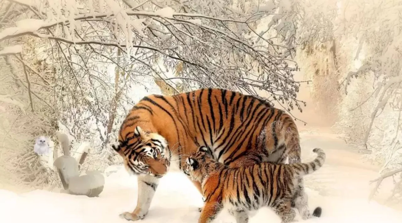 Optical Illusion, Optical Illusion Pictures, Optical Illusion Viral Picture, Optical Illusion Animal Picture, Optical Illusion Viral Photos, Optical Illusion Latest, about optical illusion,Optical Illusion photos, Optical Illusion pictures, Optical Illusion images