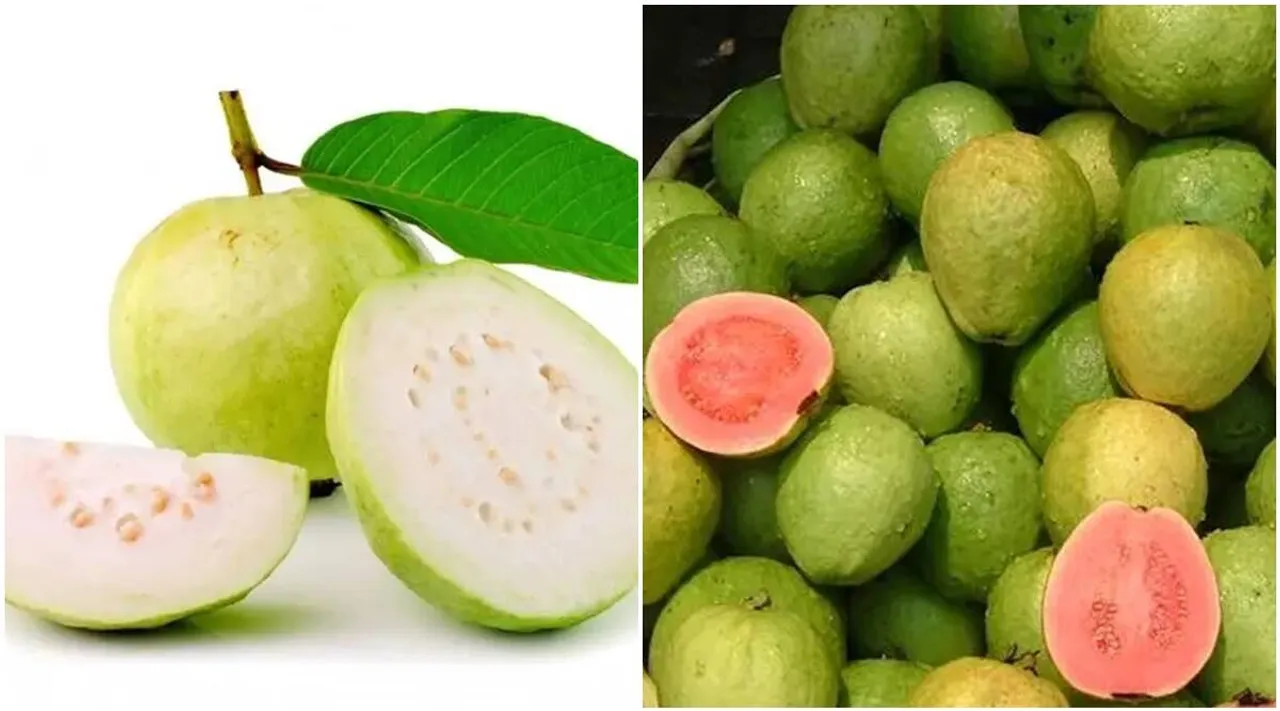 ஃபைபர், புரோட்டீன் நிறைய இருக்கு... சுகர் பேஷன்ட்ஸ் இந்த பழத்தை விடாதீங்க!