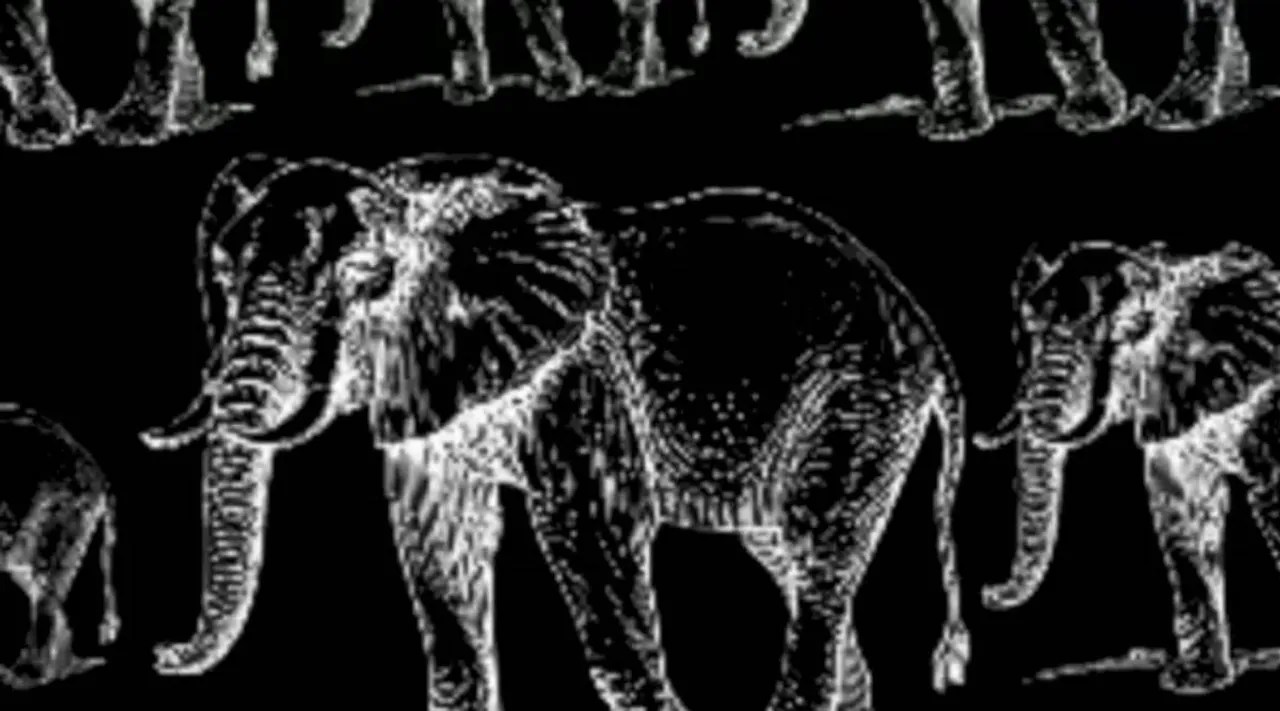 Optical Illusion, Optical Illusion Pictures, Optical Illusion Viral Picture, Optical Illusion Animal Picture, Optical Illusion Viral Photos, Optical Illusion Latest, about optical illusion,Optical Illusion photos, Optical Illusion pictures, Optical Illusion images