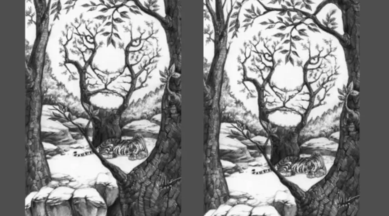 Optical Illusion, Optical Illusion Pictures, Optical Illusion Viral Picture, Optical Illusion Animal Picture, Optical Illusion Viral Photos, Optical Illusion Latest, about optical illusion,Optical Illusion photos, Optical Illusion pictures, Optical Illusion images