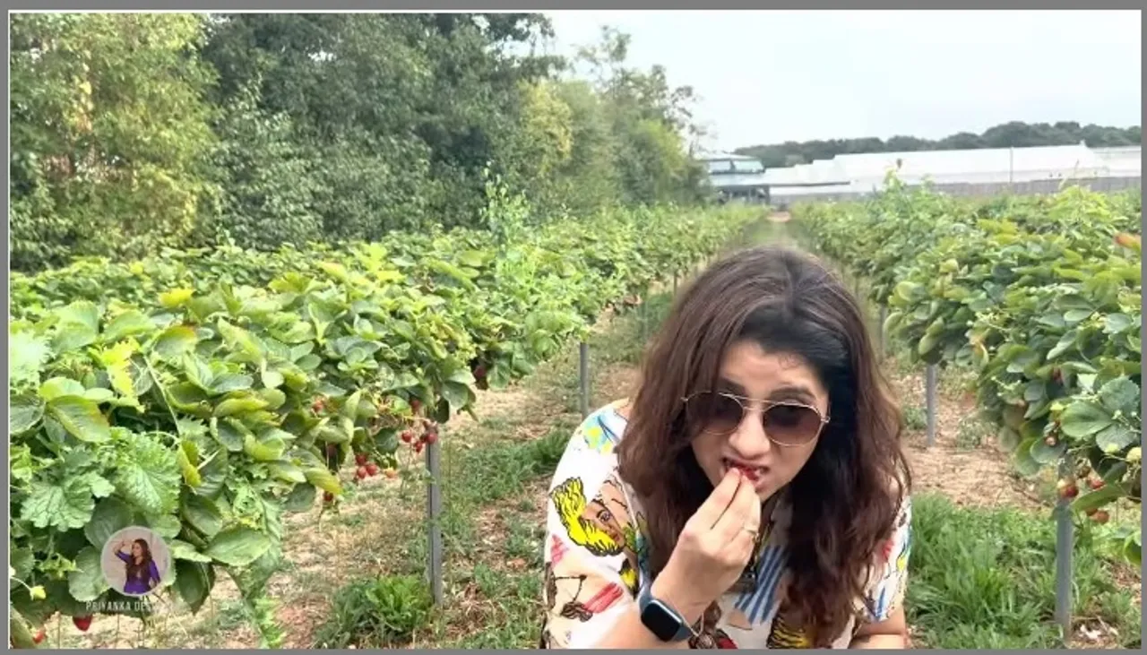 Vj priyanka