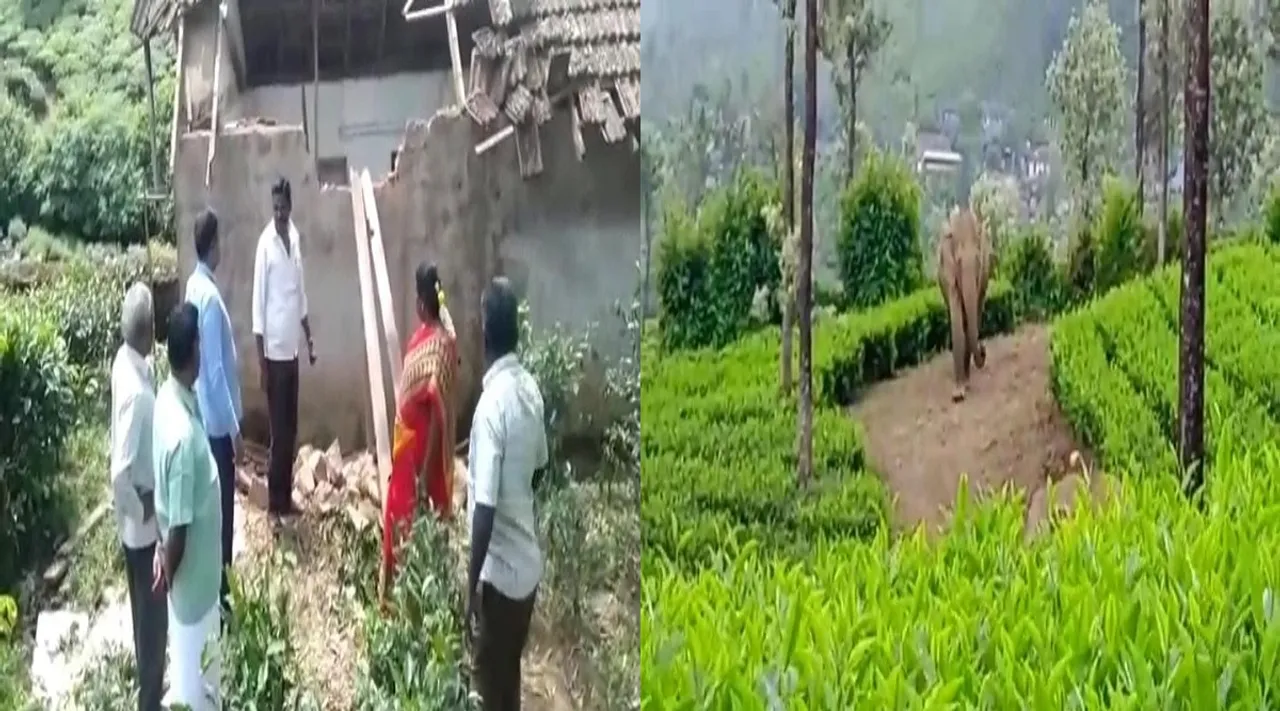 வால்பாறையில் ரேஷன் கடையை உடைத்த காட்டு யானைகள்; பொதுமக்கள் அச்சம்