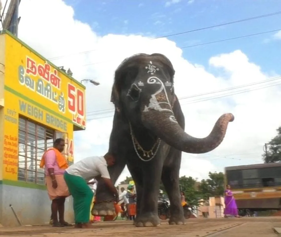 coimbatore