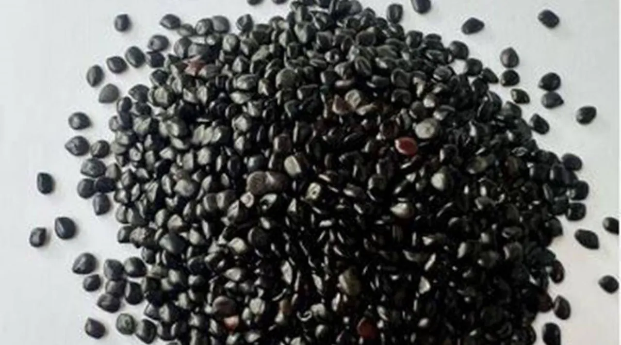 This ‘desi superfood’ treats constipation; can be used in the form of ‘decoction, powder and even juice’