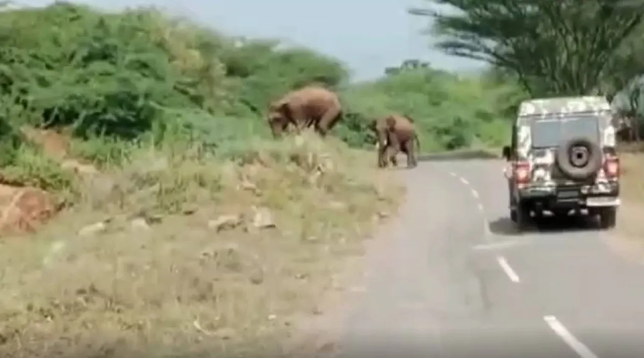 சிறுமுகை பகுதியில் காட்டு யானைகள் நடமாட்டம்: கிராம மக்கள் அச்சம்