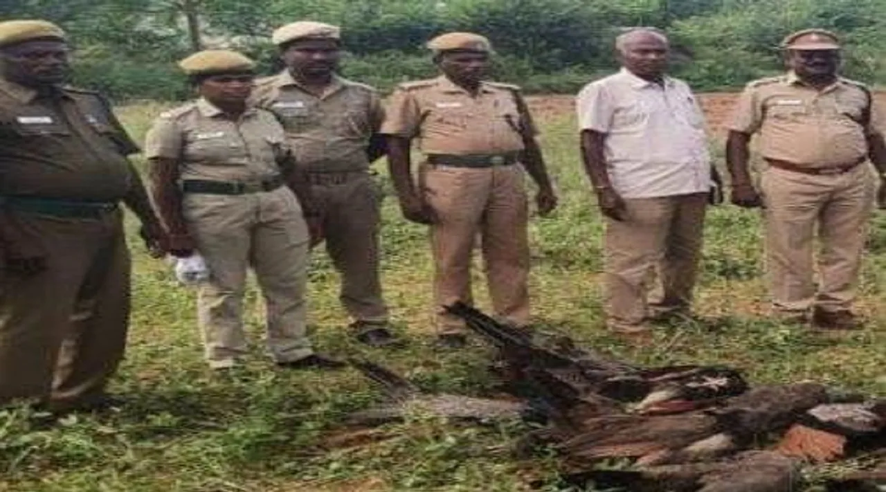 திருச்சியில் விஷம் வைத்து 15 மயில்கள் கொலை; முதியவர் கைது