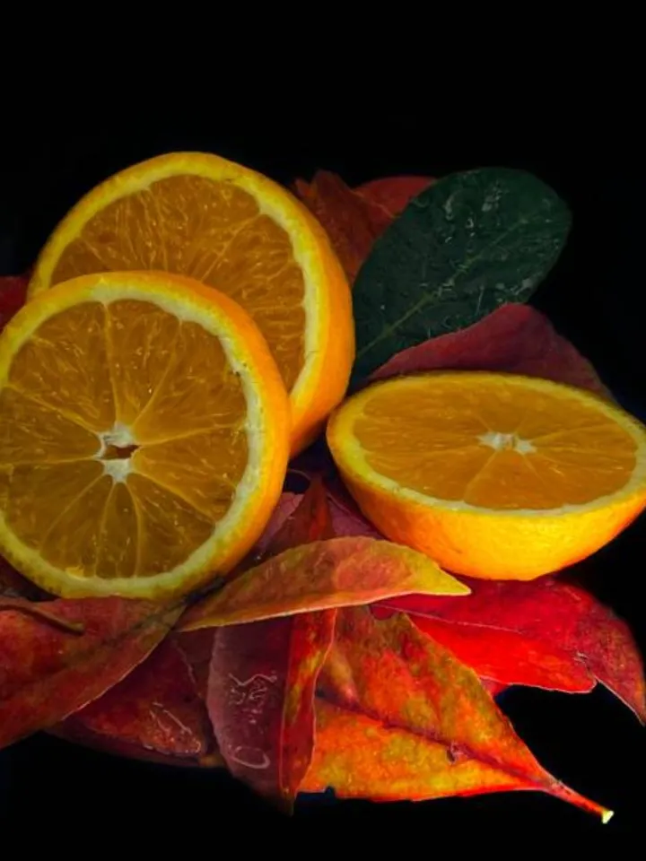 citrus fruits 1 - unsplash (1)