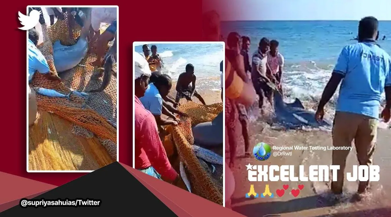 தமிழக மீனவர் வலையில் சிக்கிய டால்பின்: வைரல் வீடியோ