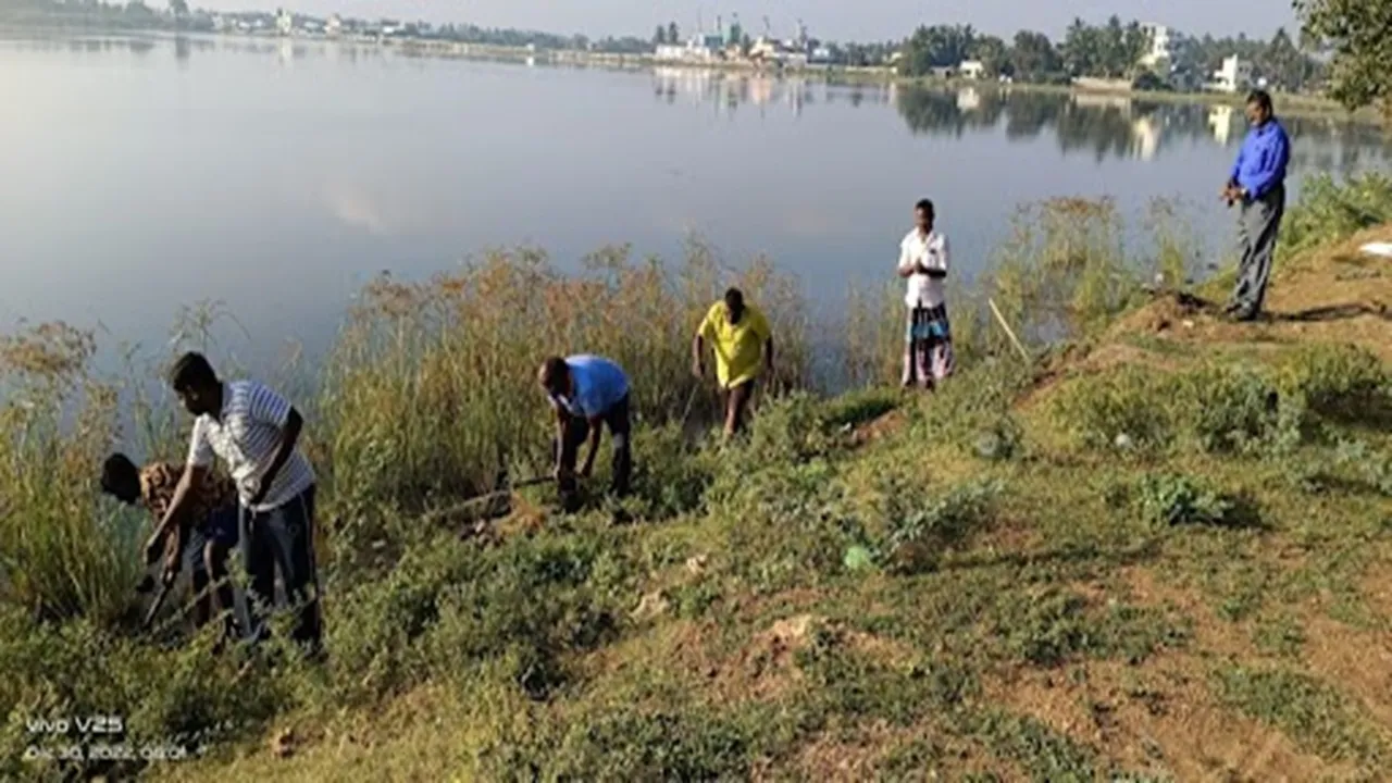 250 palm seeds were planted on the occasion of Nammalwar Memorial Day