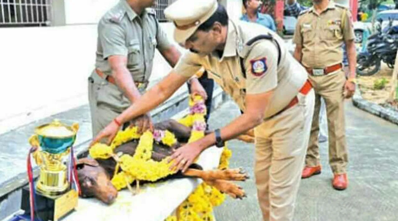கமிஷனரே நேரில் வந்து அஞ்சலி; 21 குண்டு முழங்க அரசு மரியாதை: சென்னையில் மோப்ப நாய் டோனிக்கு கவுரவம்