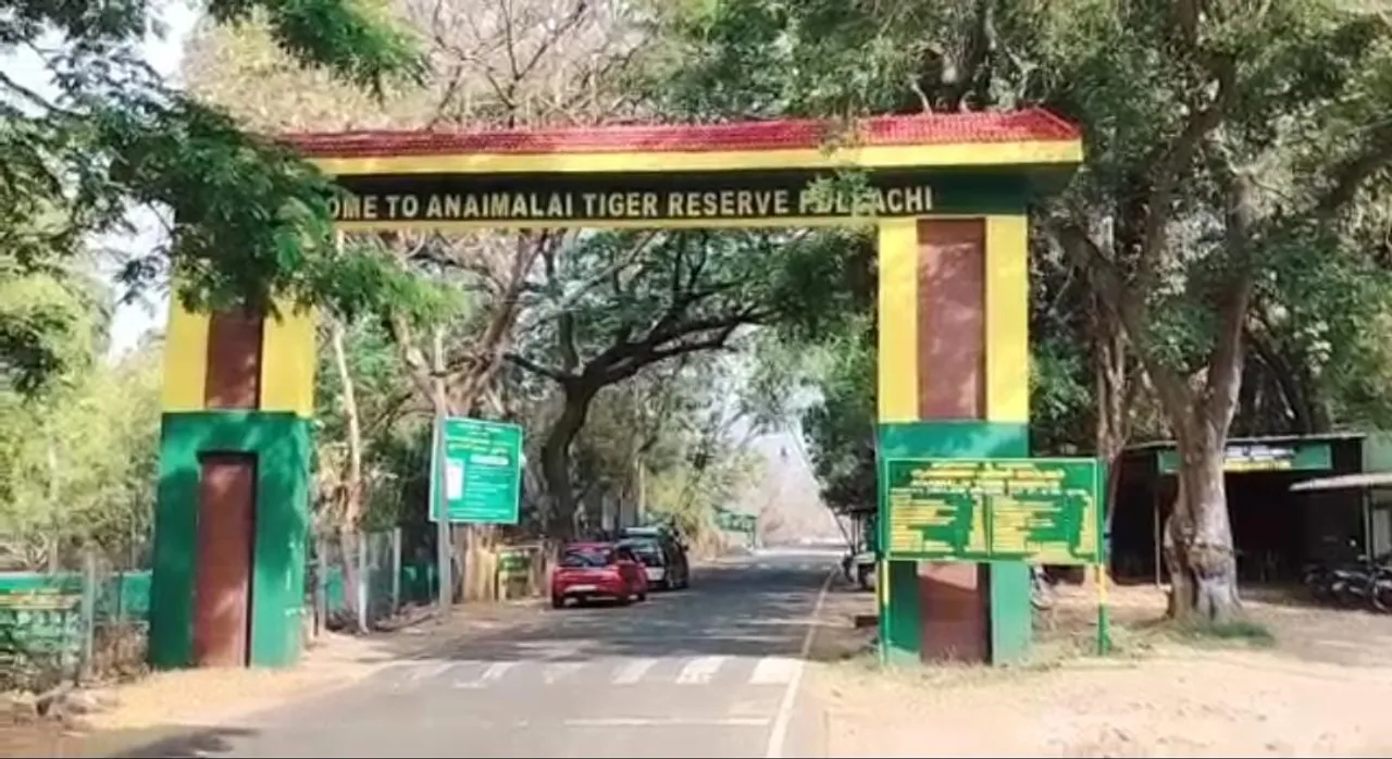 புலிகள் கணக்கெடுப்பு: இந்த முறை எப்படி நடந்தது ?