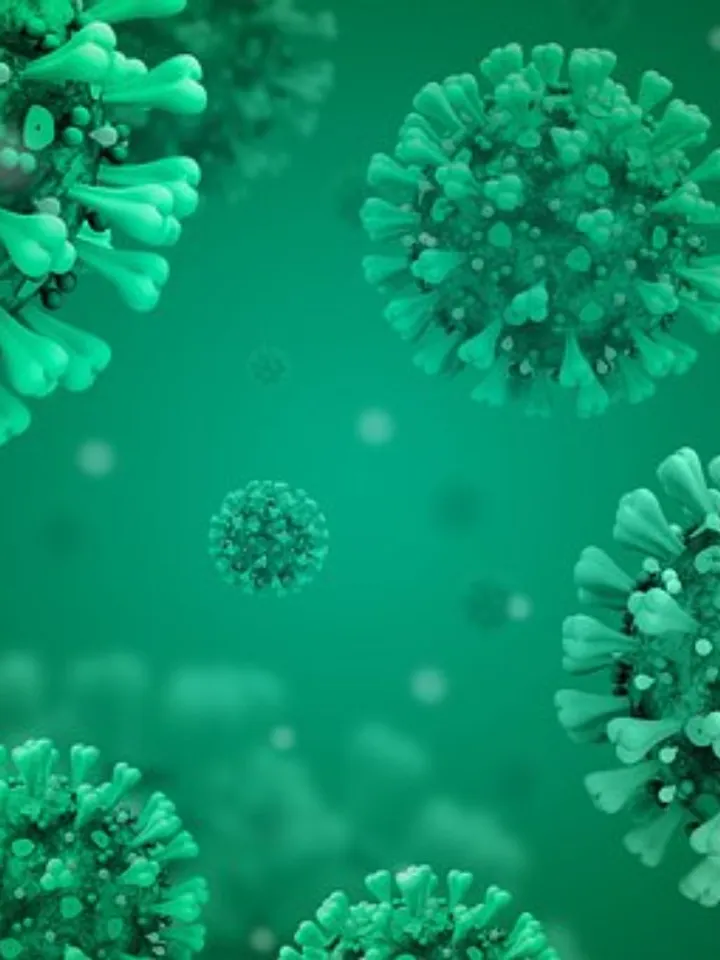 coronavirus-disease-covid-2019-5060522__340 (1)