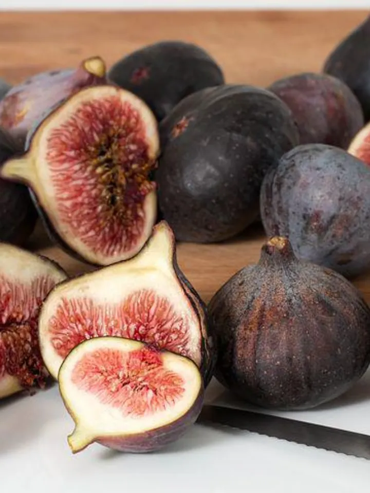figs-2079166__480 (1)