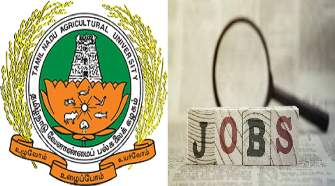 tnau jobs