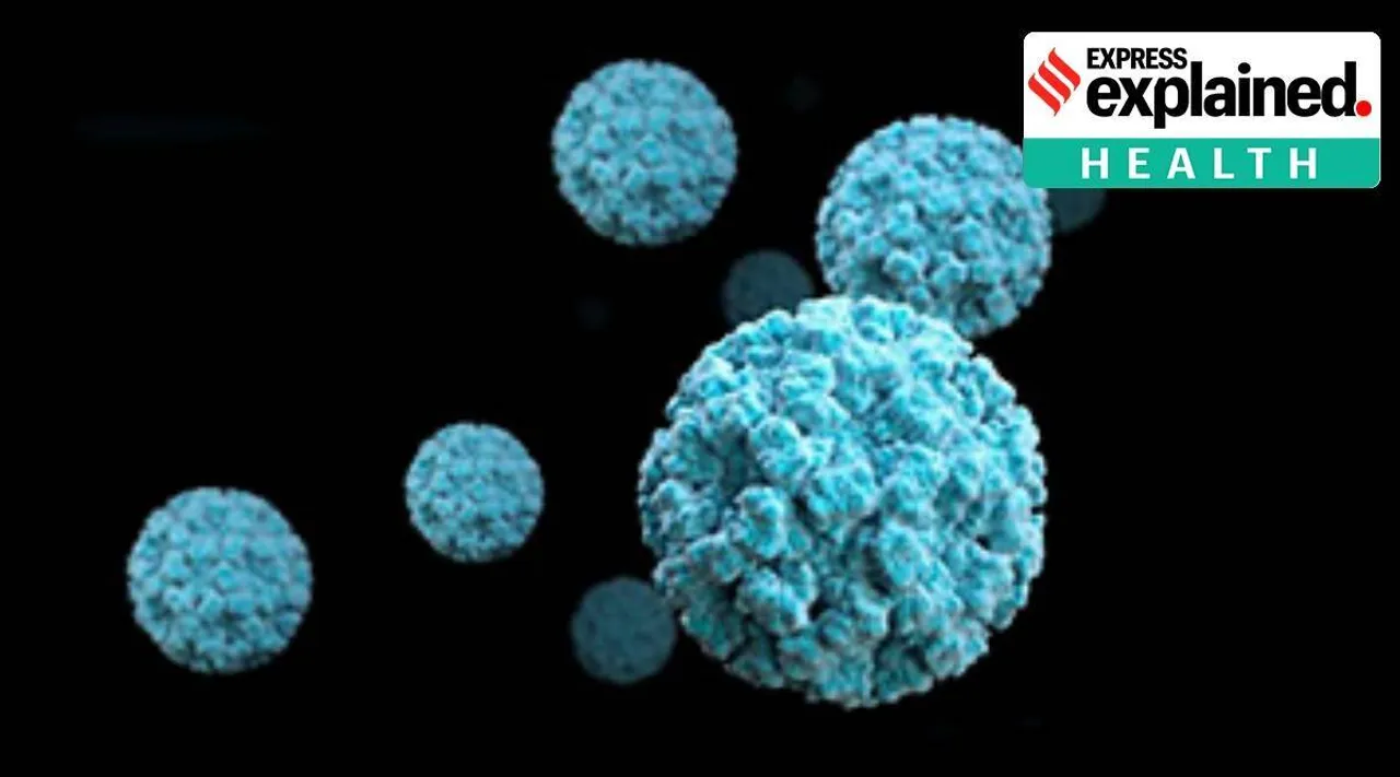 Norovirus
