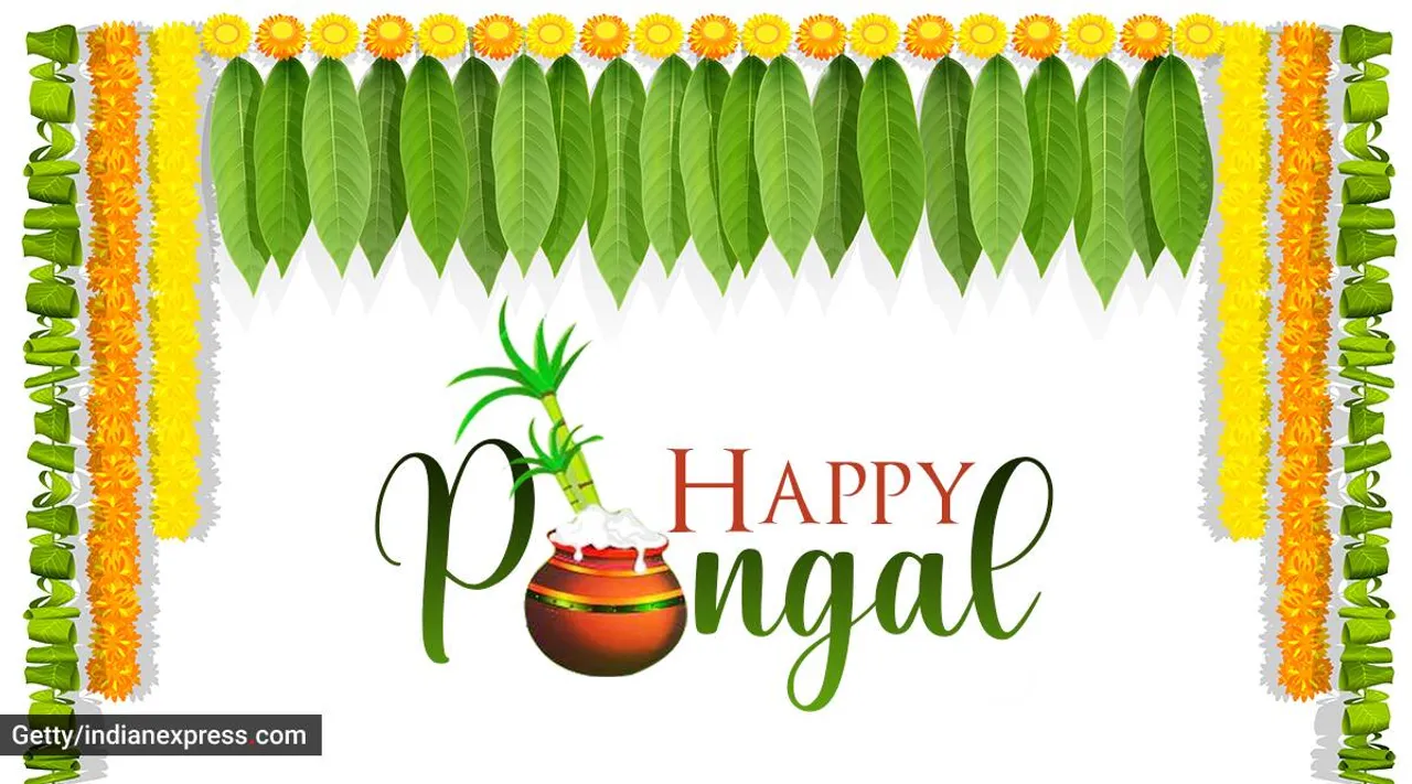 Pongal Wishes 2023: பொங்கல் வாழ்த்து அட்டைகள்- வாட்ஸ் அப் மெசேஜ்கள்; ஃப்ரண்ட்ஸ்-க்கு இப்படி அனுப்புங்க!