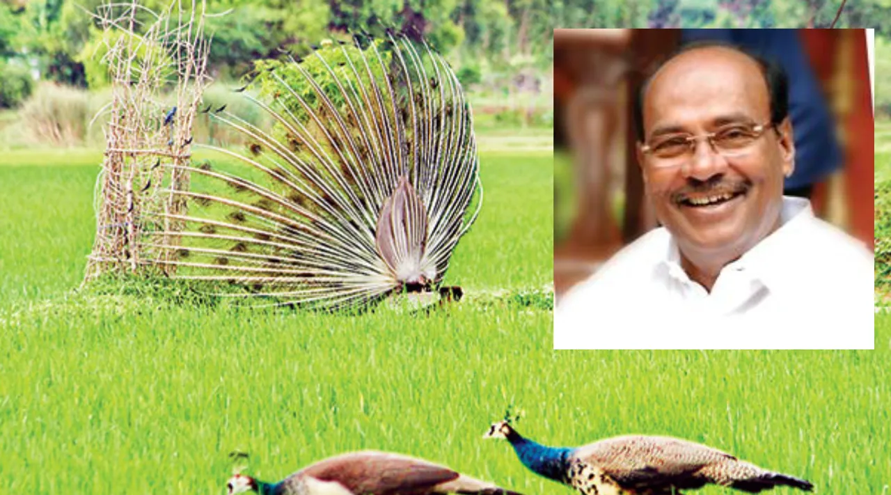 Dr Ramadoss, PMK, Tamilnadu, Thailapuram, Ramadoss Thailapuram Garden, தைலாபுரம் தோட்டம், பாமக, ராமதாஸ்