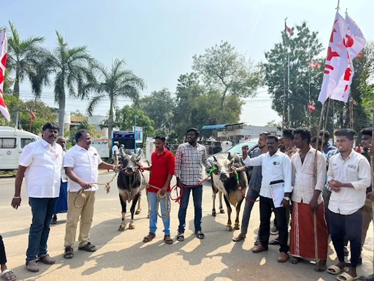 DYFI filed a petition regarding jallikattu in Trichy district collectors office