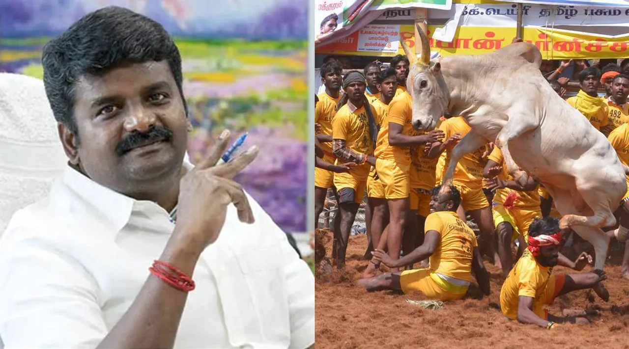 மாடுபிடி வீரர்களுக்கு அரசு வேலை : ஜல்லிக்கட்டை ஊக்குவிக்க அதிமுக விஜயபாஸ்கர் யோசனை