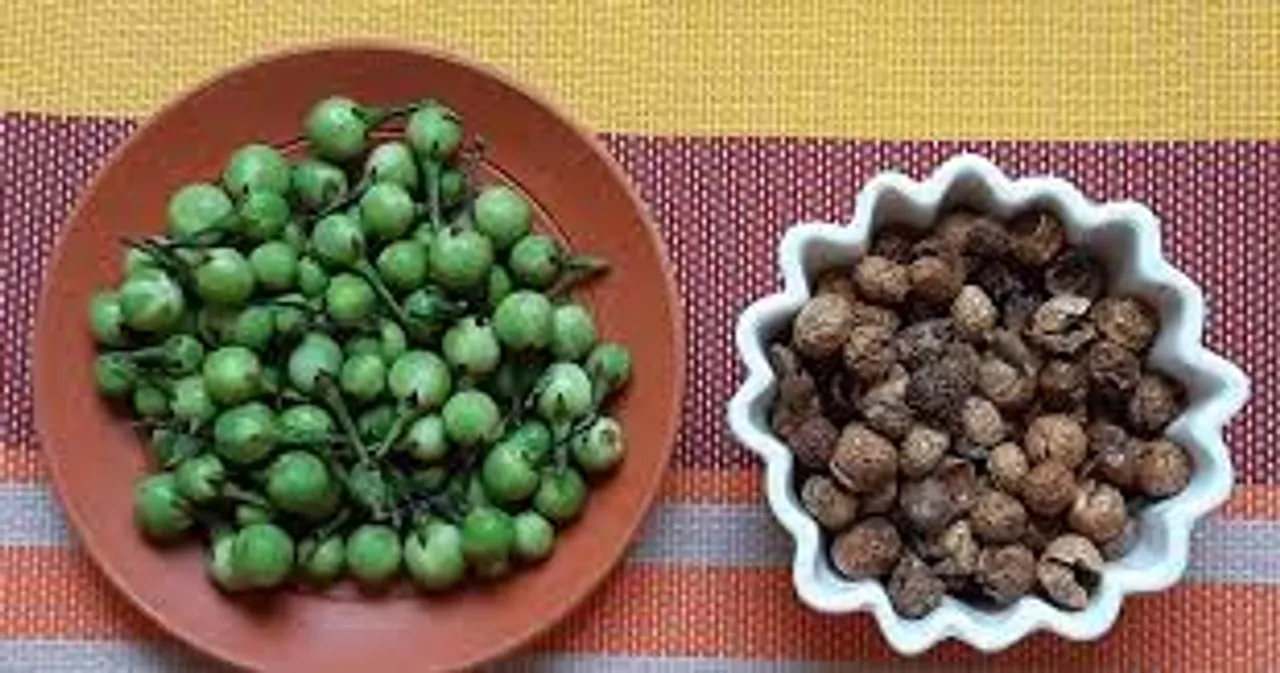 சுண்டைக்காய் வைத்து ஒரு சுவையான ரெசிபி : வெறும் 10 நிமிஷத்துல பண்ணிடலாம்