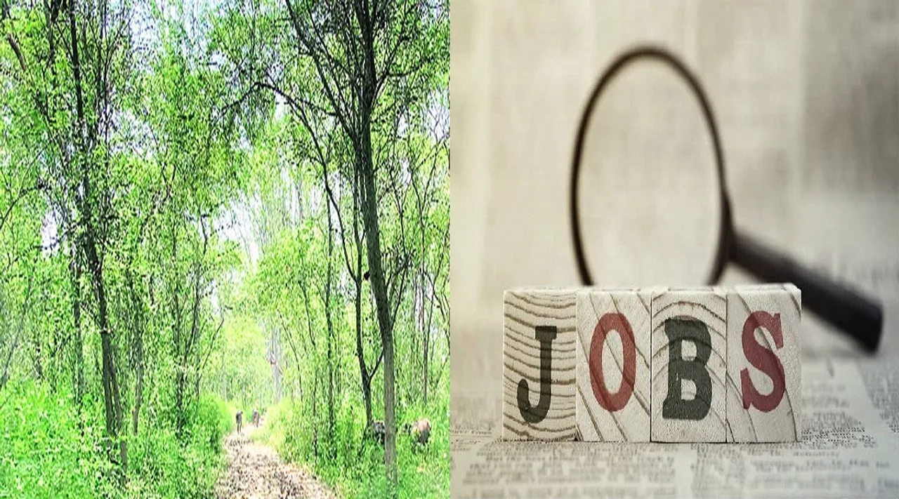 forest jobs