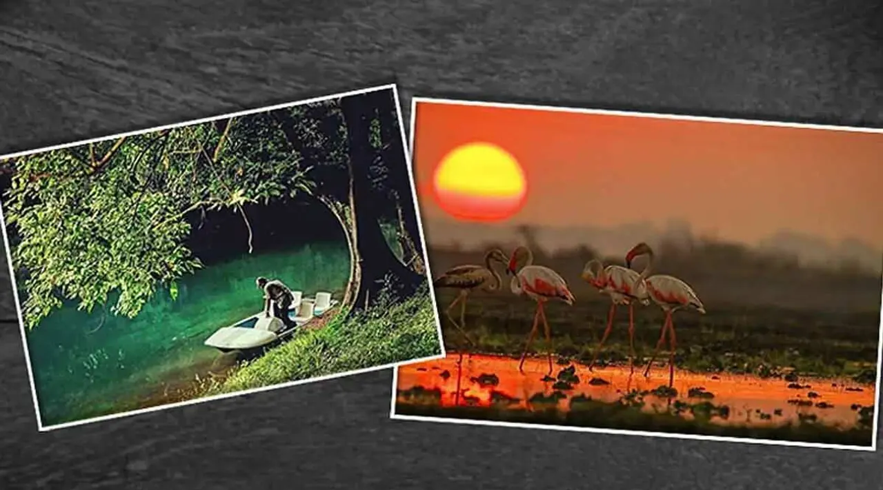 kerala