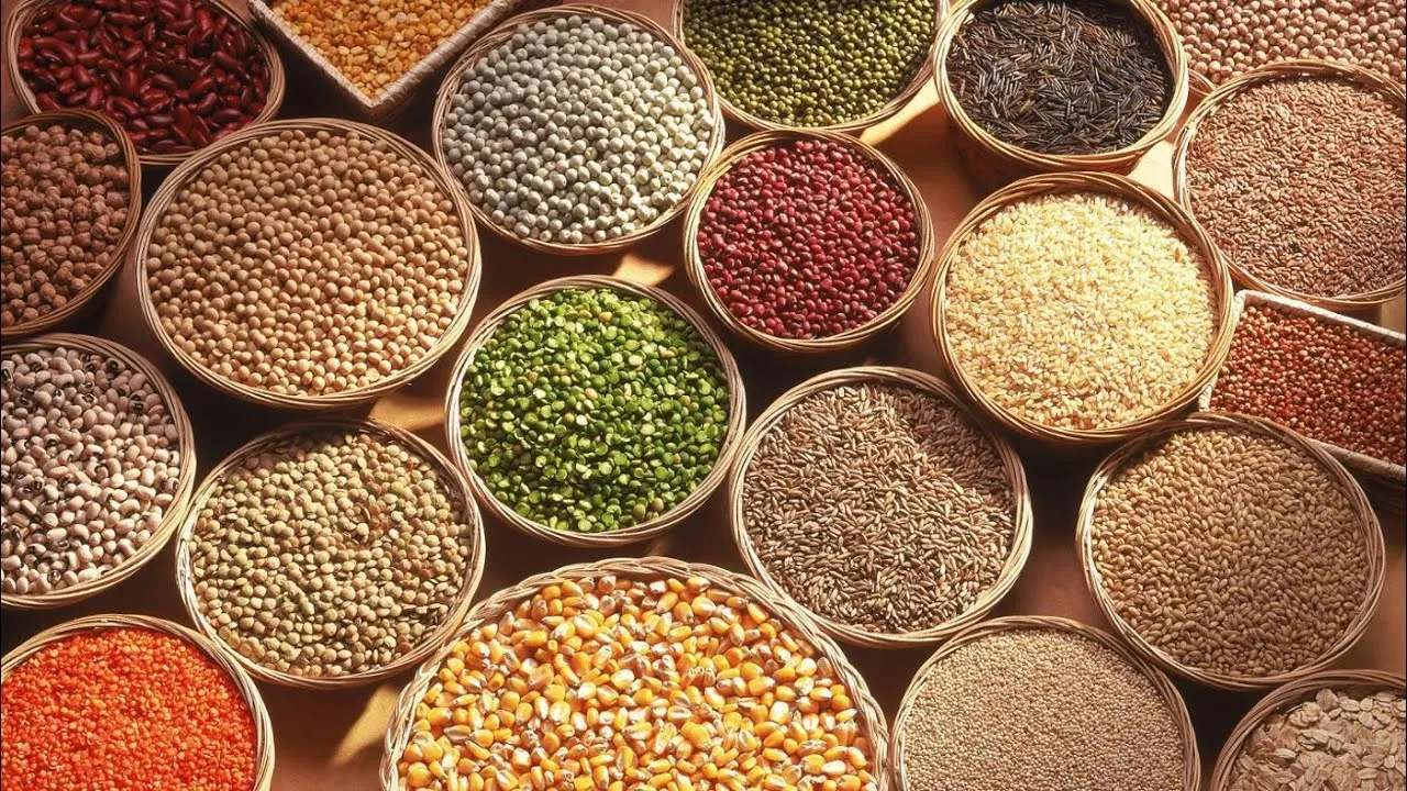 இந்த நோய் உள்ளவங்க கண்டிப்பா சிறுதானியம்  சாப்பிடணும்; நிபுணர்கள் கருத்து என்ன?
