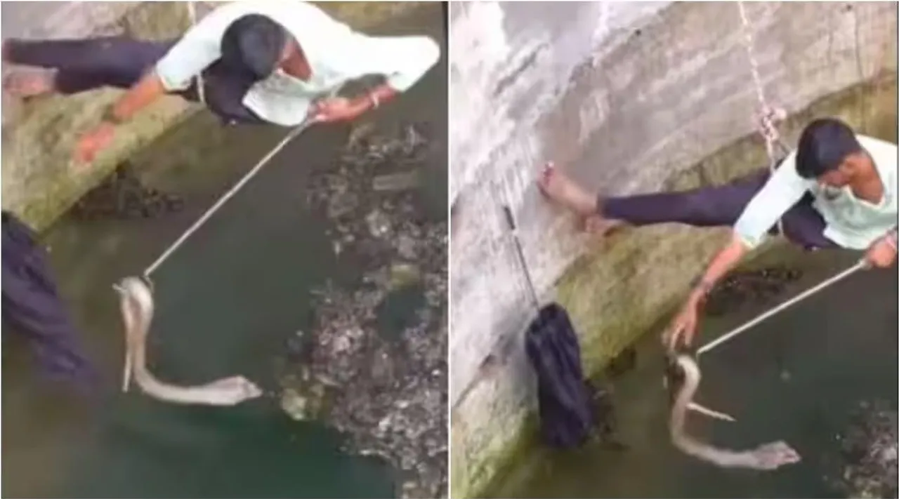 youth rescue cobra from well, viral video, cobra rescue from well viral video, kerala, cobra rescue,