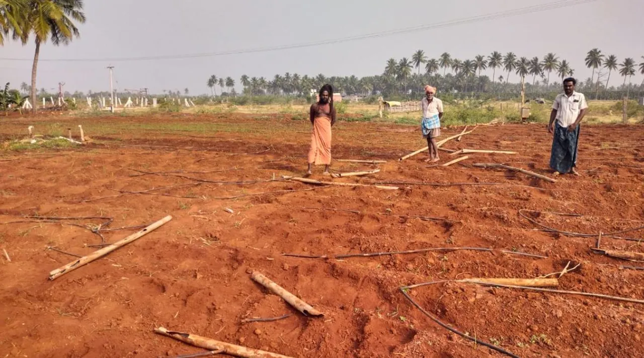 Coimbatore: elephants destroyed cropland Tamil News