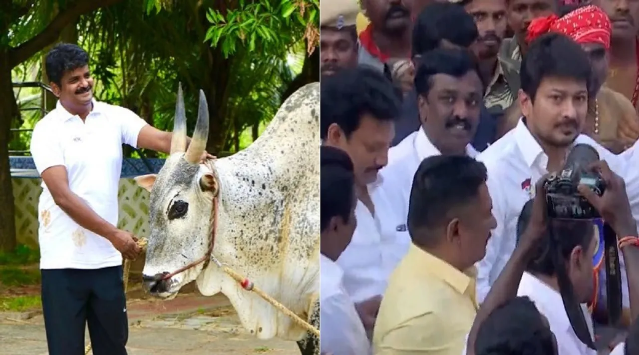 சீறி பாய்ந்த கொம்பன்; விஜயபாஸ்கர் காளைக்கு தங்க நாணயம் பரிசு வழங்கிய உதயநிதி