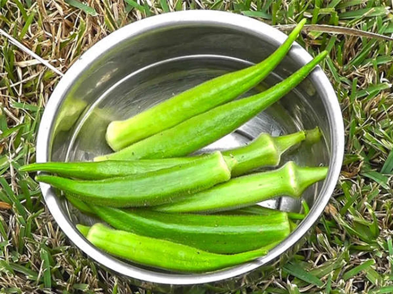 தினமும் காலையில் வெண்டைக்காய் தண்ணீர்: சுகர் உள்ளவங்க இதை மிஸ் பண்ணாதீங்க