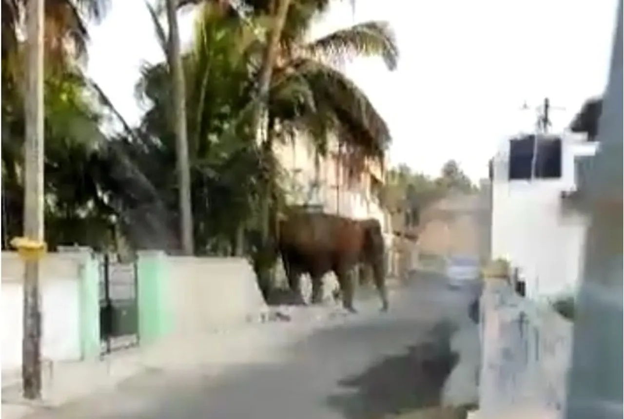 Coimbatore