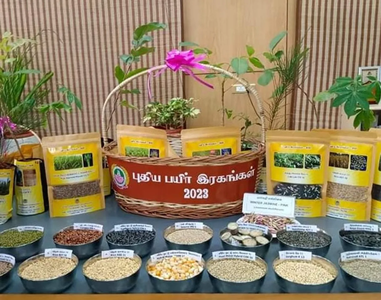 தமிழ்நாடு வேளாண்மை பல்கலை. வெளியிட்ட புதிய பயிர் ரகங்கள்