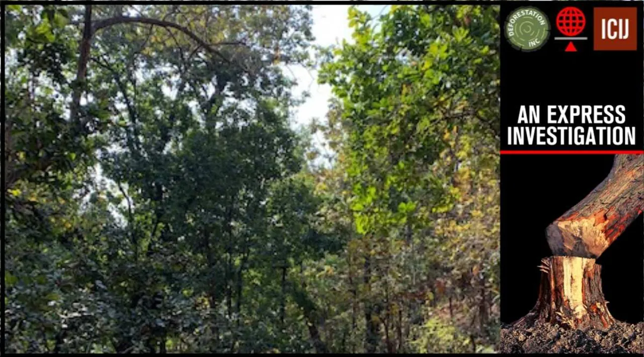 வைரங்கள் நிறைந்த மத்திய பிரதேச காடு; 2.15 லட்சம் மரங்களை காப்பாற்ற போராட்டம்