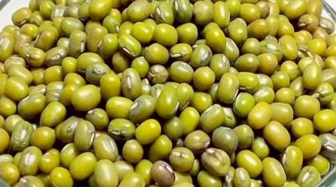 Green gram dosa