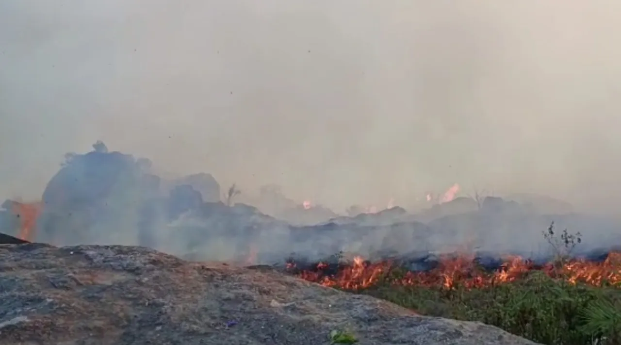 coimbatore fire, velliyangiri hill forest fire, Tamilnadu news, latest tamil news, coivai news