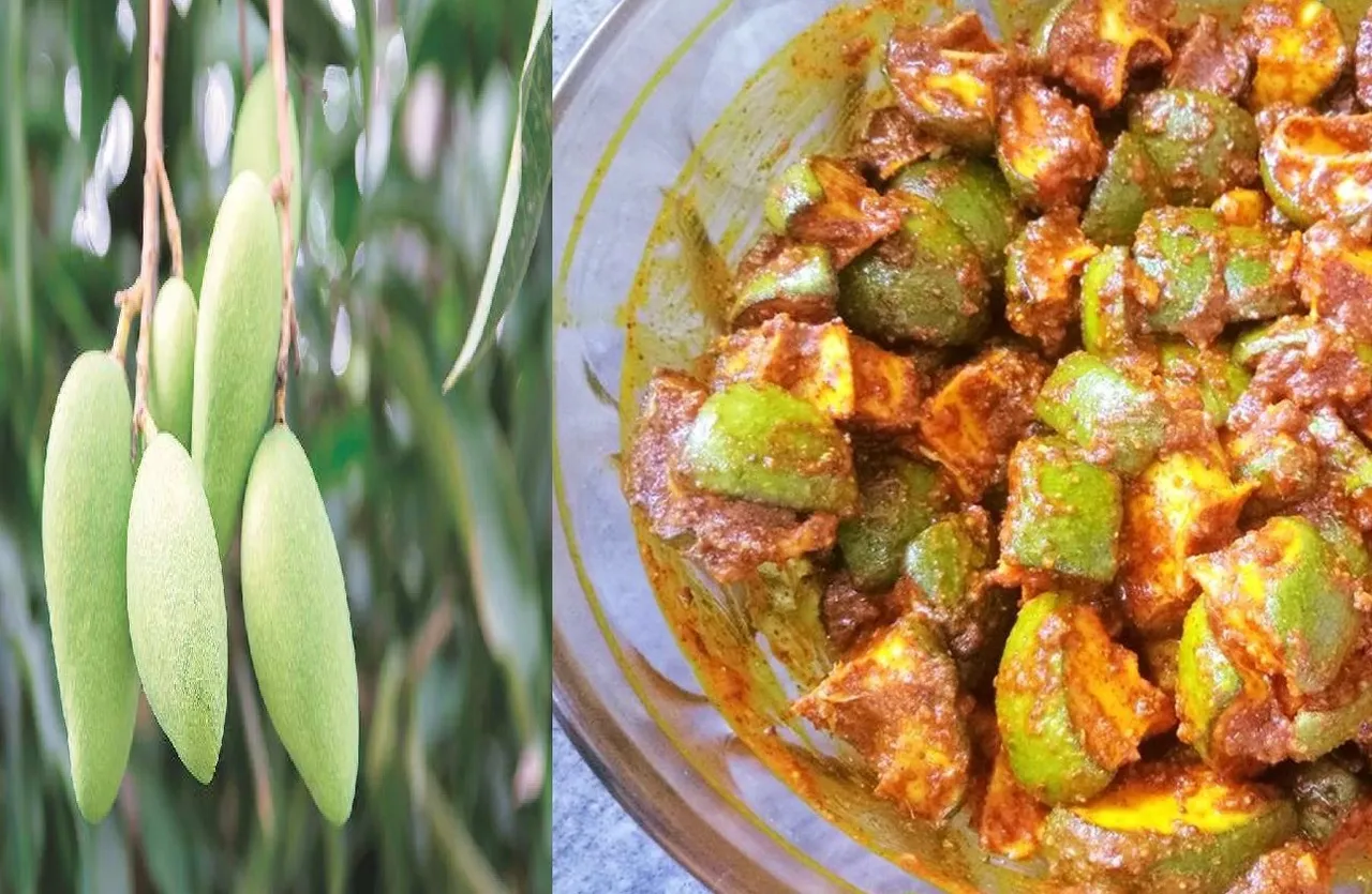 ரொம்ப கஷ்டபடாம 20 நிமிஷத்துல பாரம்பரிய மாங்காய் ஊறுகாய்; இப்படி செய்யுங்க